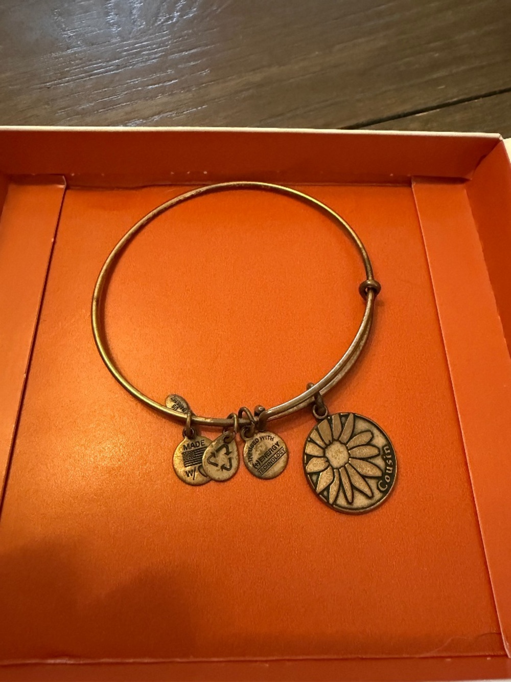 Alex and Ani Cousin Bracelet